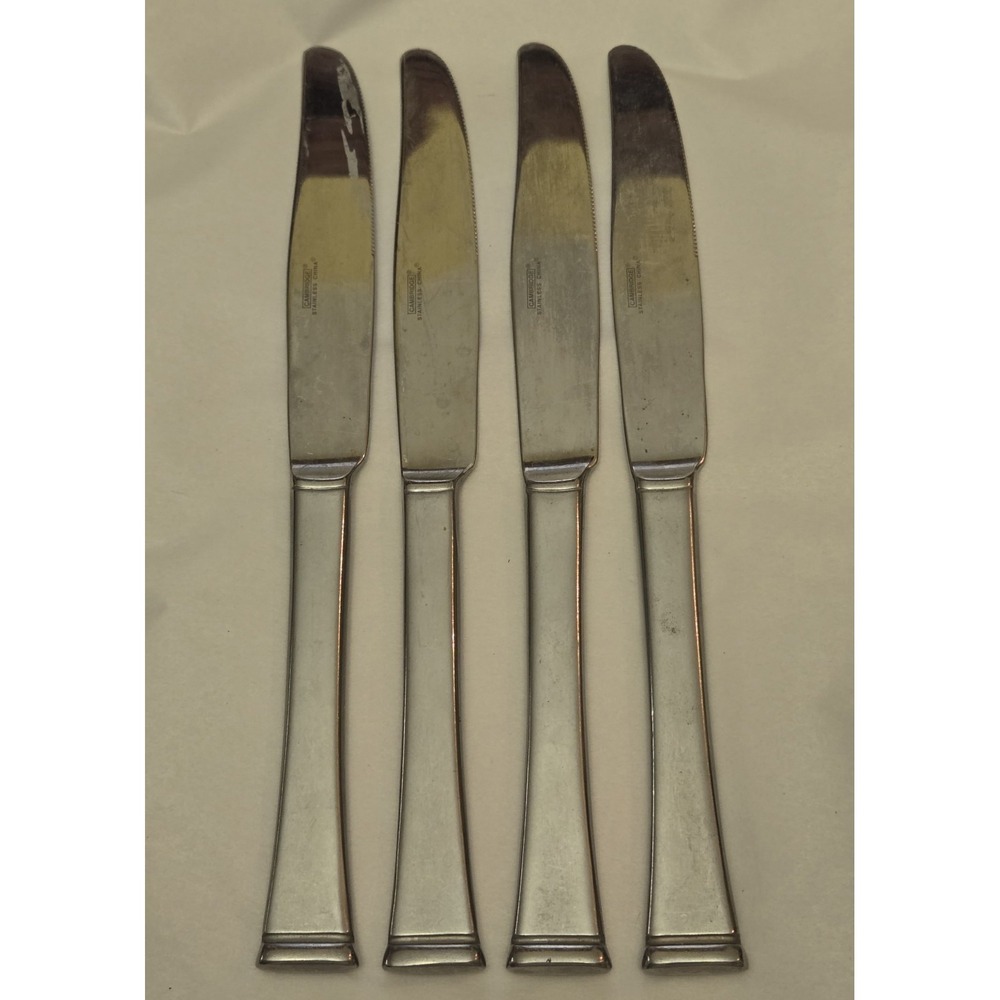 4 Lot CAMBRIDGE CBS98 Stainless Dinner Knife 9 3/8" Frosted 18/8 Glossy Tip/Bowl